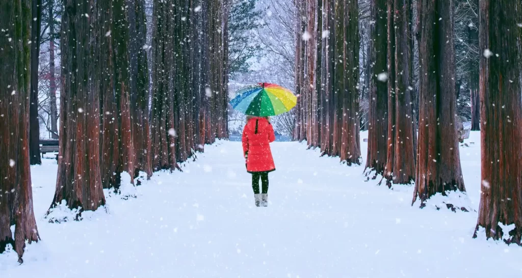 Girl with colourful umbrella in row tree