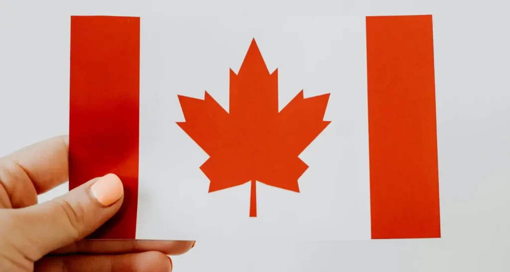 A Person Holding a Canadian Paper Flag