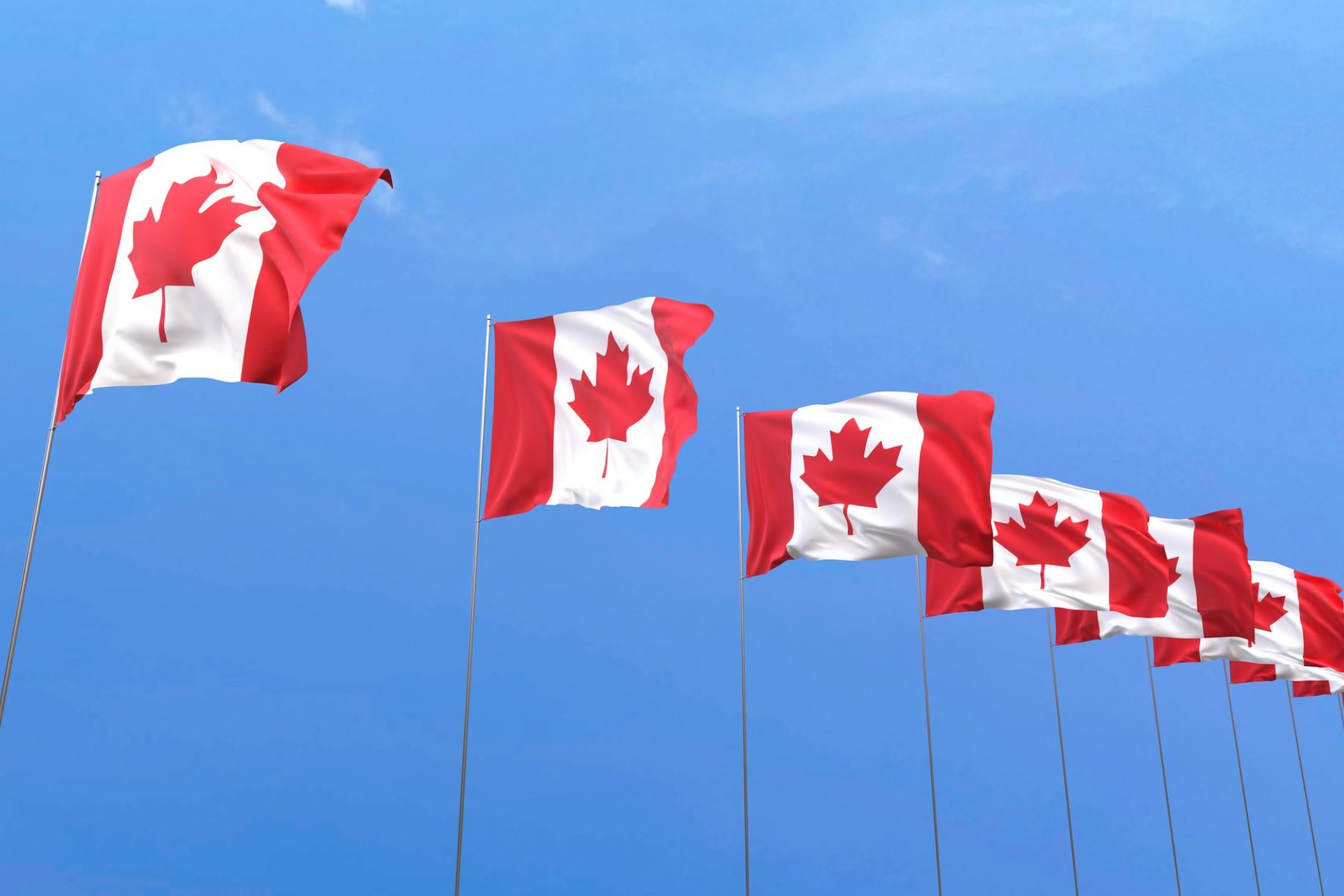 Flag of canada
