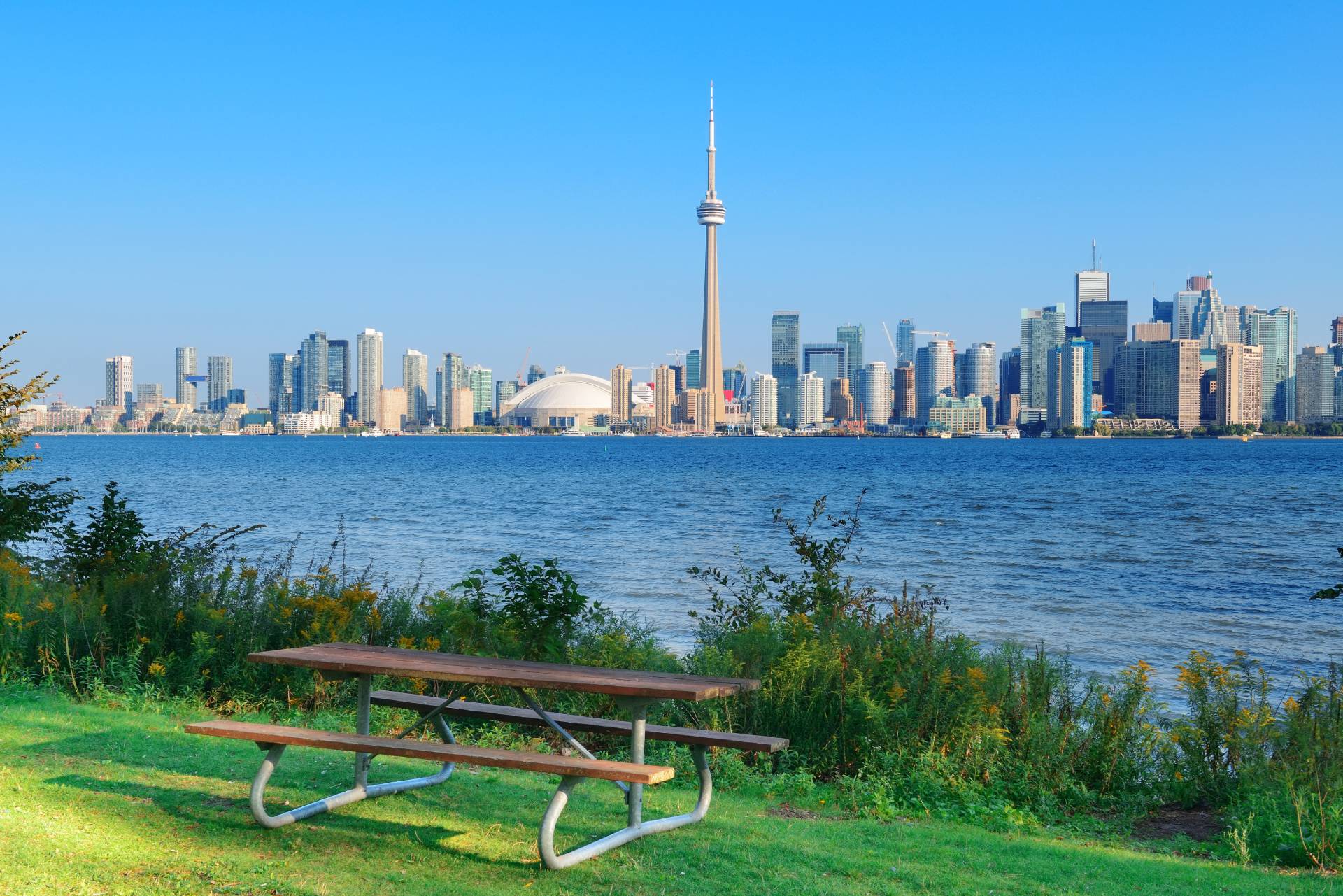 toronto-skyline-from-park