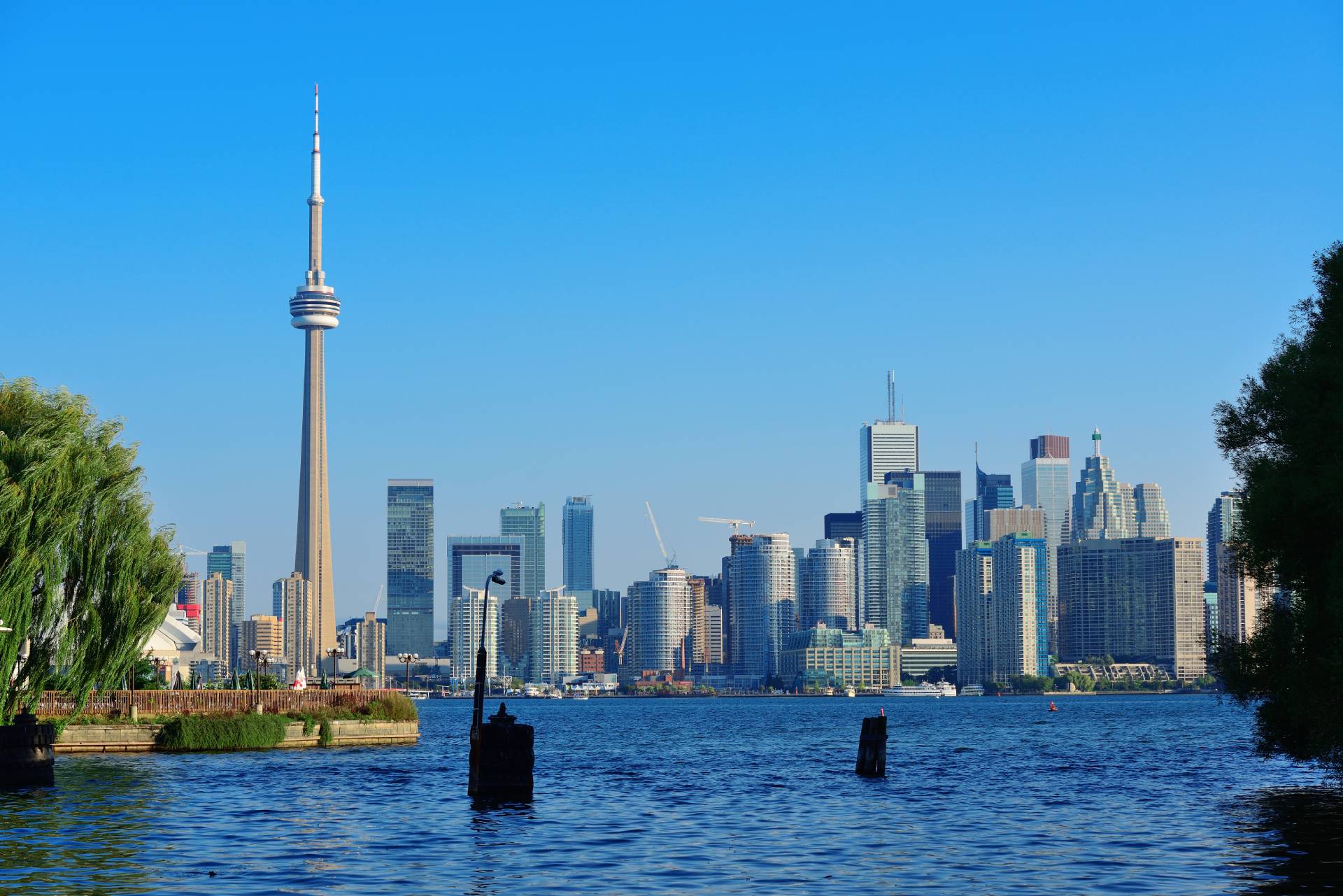 toronto-skyline-from-park